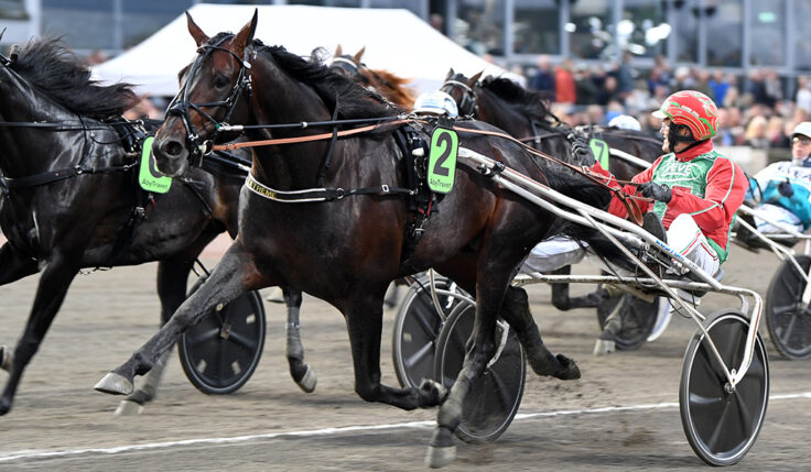 EXTREME TILL ELITLOPPET 2022