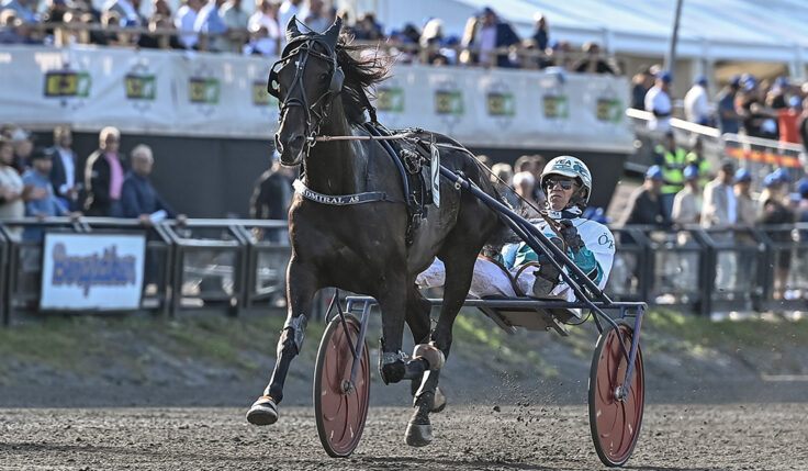 ADMIRAL AS KLAR FÖR ELITLOPPET 2022