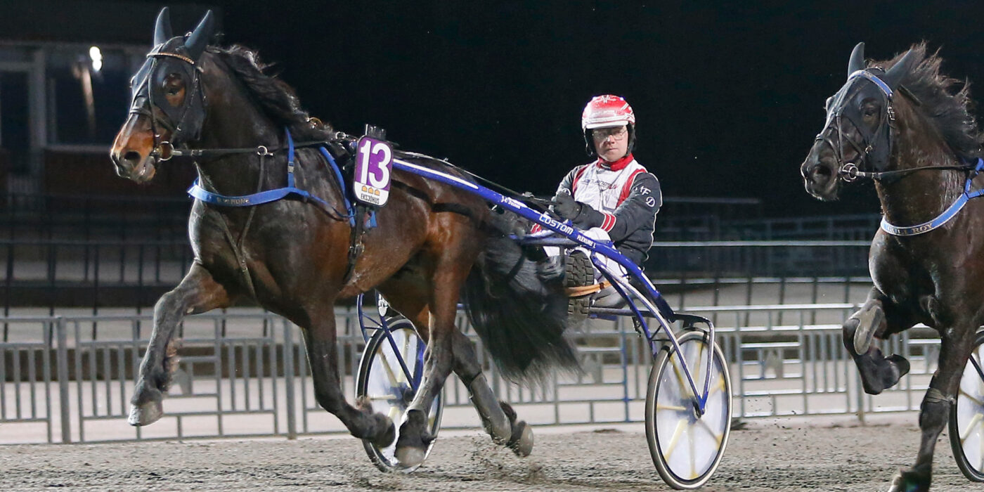 TRE NYA HÄSTAR KLARA FÖR ELITKAMPEN 2023