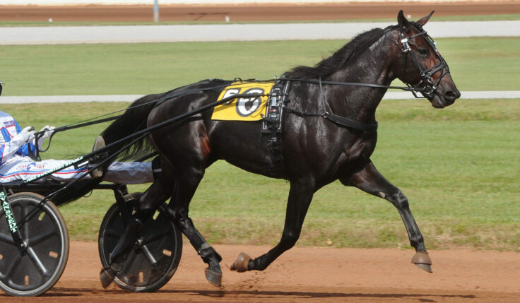 BACK OF THE NECK SÄGER NEJ TILL ELITLOPPET 2022