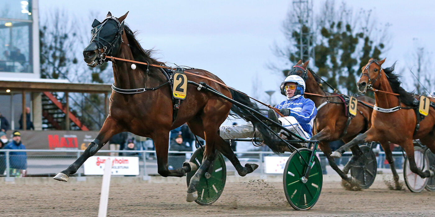 BROTHER BILL KLAR FÖR ELITLOPPET 2022