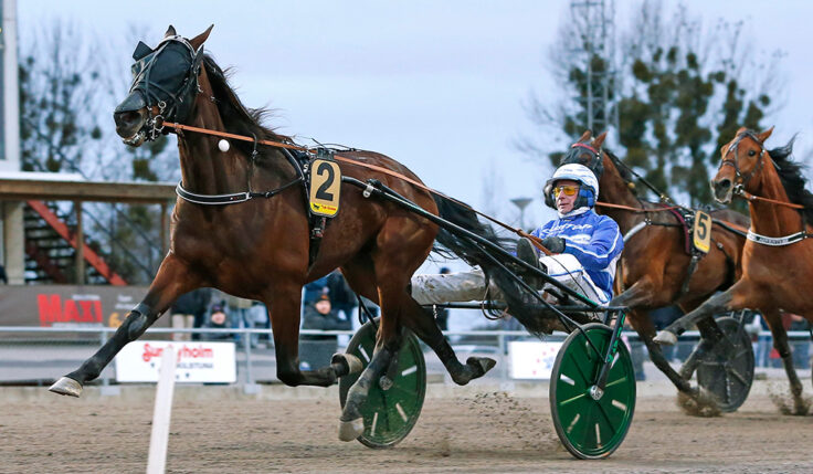 BROTHER BILL KLAR FÖR ELITLOPPET 2022