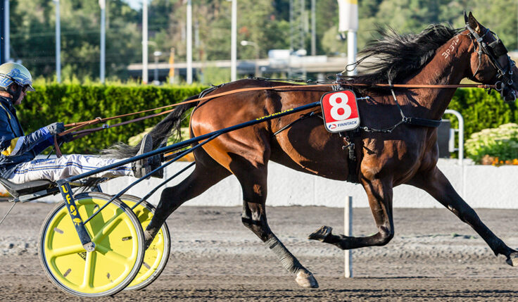 CLICK BAIT KLAR FÖR ELITLOPPET 2021