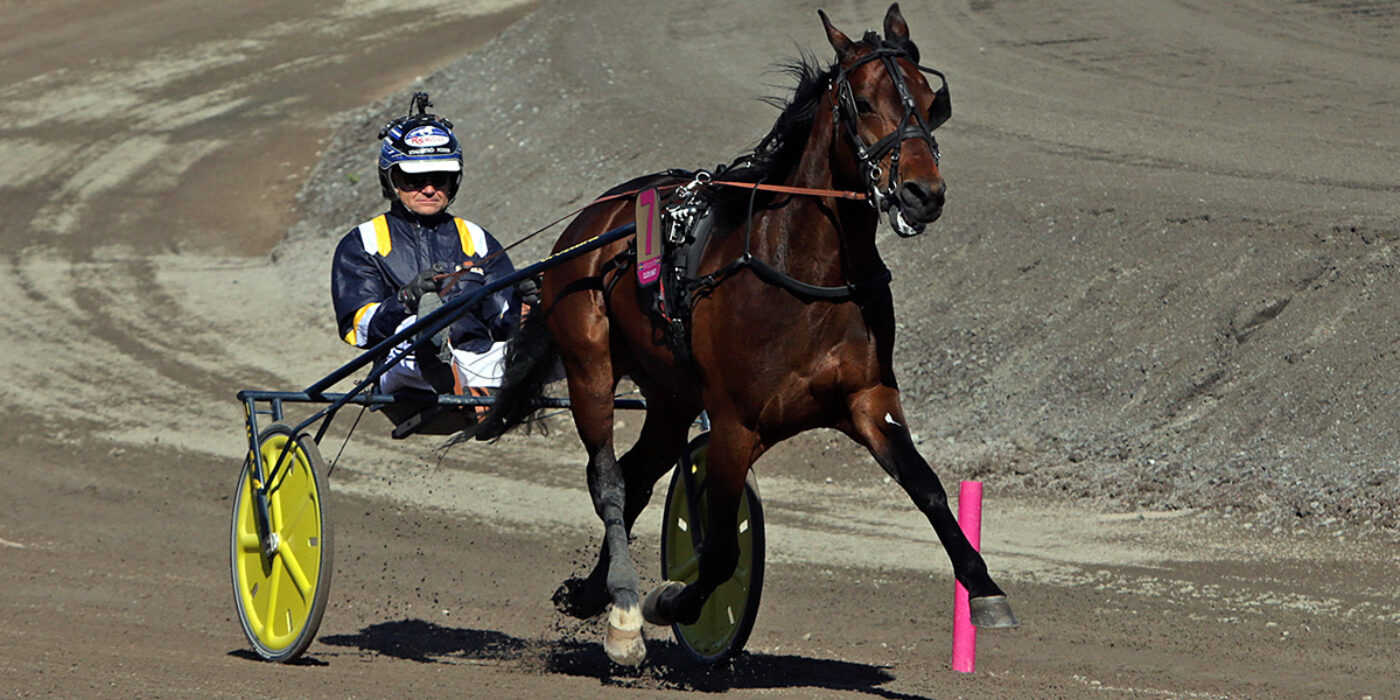 CLICK BAIT VANN H.K.H. PRINS DANIELS LOPP I GÄVLE OCH ÄR KLAR FÖR ELITLOPPET