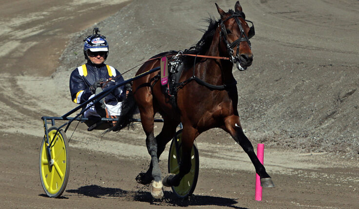 CLICK BAIT VANN H.K.H. PRINS DANIELS LOPP I GÄVLE OCH ÄR KLAR FÖR ELITLOPPET