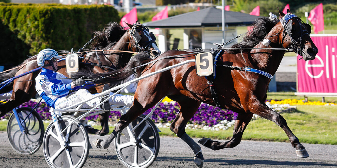 COKSTILE KLAR FÖR ELITLOPPET 2021