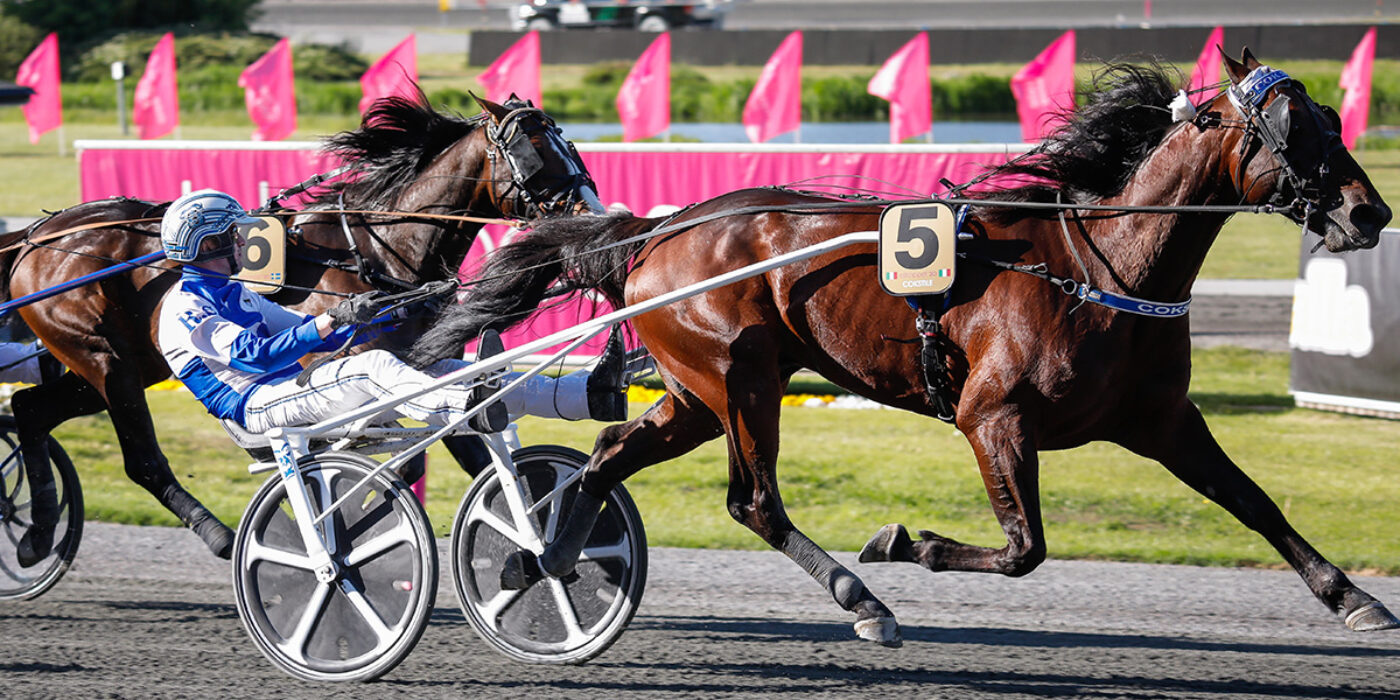 COKSTILE TOG DIREKTBILJETT TILL ELITLOPPET 2022