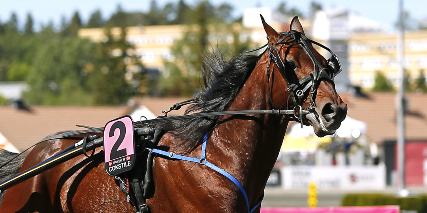 COKSTILE KLAR FÖR ELITLOPPET 2020