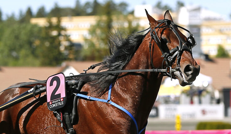 COKSTILE KLAR FÖR ELITLOPPET 2020