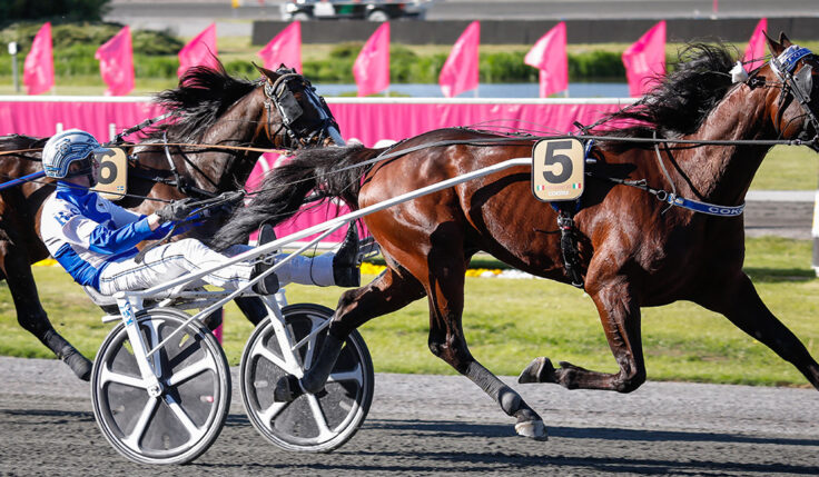 COKSTILE TOG DIREKTBILJETT TILL ELITLOPPET 2022