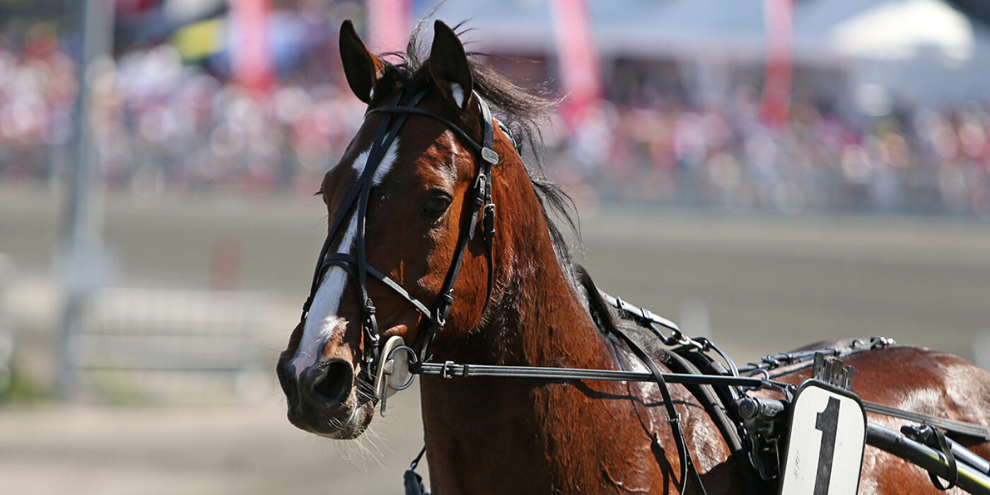 DISCO VOLANTE KLAR FÖR ELITLOPPET 2020