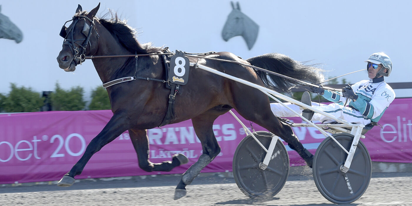 DON FANUCCI ZET KLAR FÖR ELITLOPPET 2021