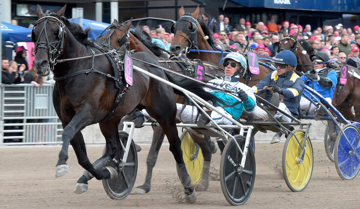 FÖRSÖKEN LOTTADE OCH DET ÄR KLART FÖR ELITLOPPSHELGEN 2022 PÅ SOLVALLA