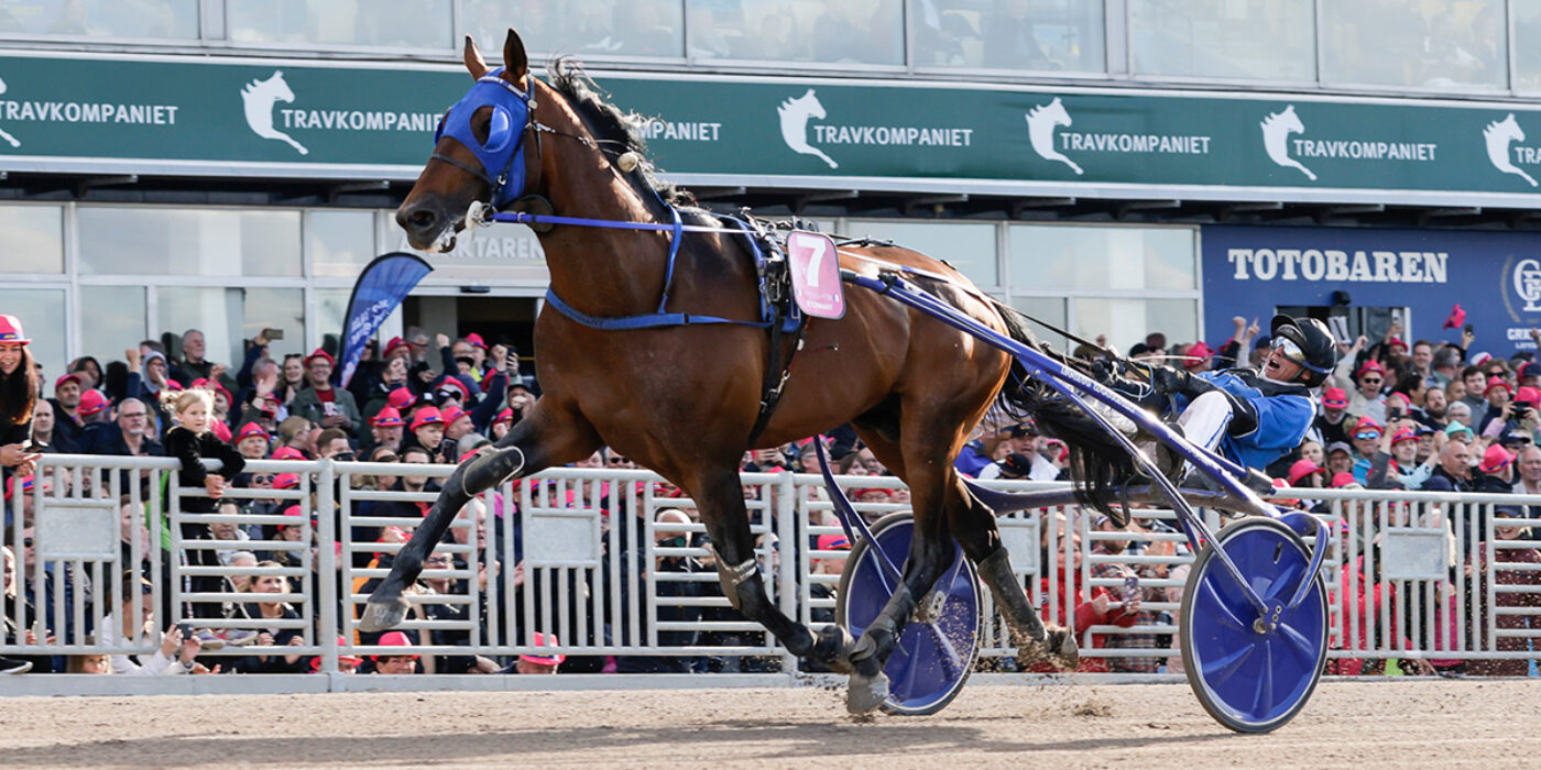 ELITLOPPSSEGER TROTS GALOPP