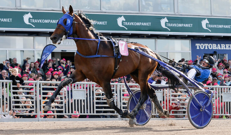 ELITLOPPSSEGER TROTS GALOPP