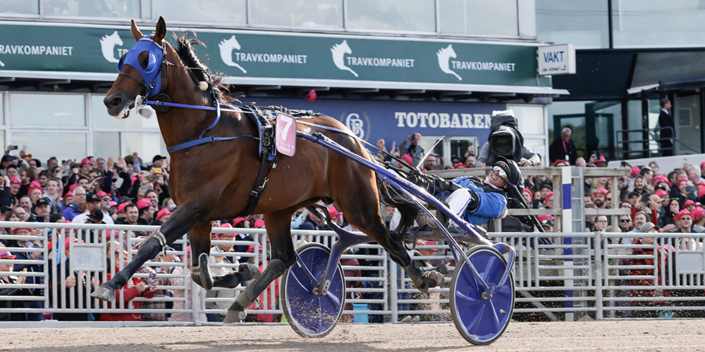 TITELFÖRSVARAREN ETONNANT KLAR FÖR ELITLOPPET 2023