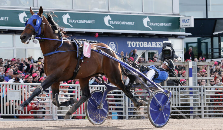 TITELFÖRSVARAREN ETONNANT KLAR FÖR ELITLOPPET 2023