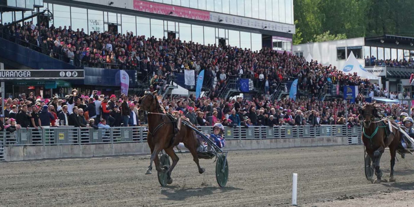 Harper Hanovers lopp till skrällen Eelis