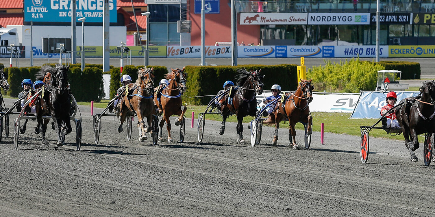 TRE FÖRSTA HÄSTARNA INBJUDNA TILL ELITKAMPEN 2022