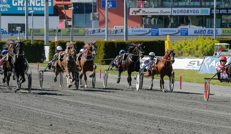 TRE FÖRSTA HÄSTARNA INBJUDNA TILL ELITKAMPEN 2022