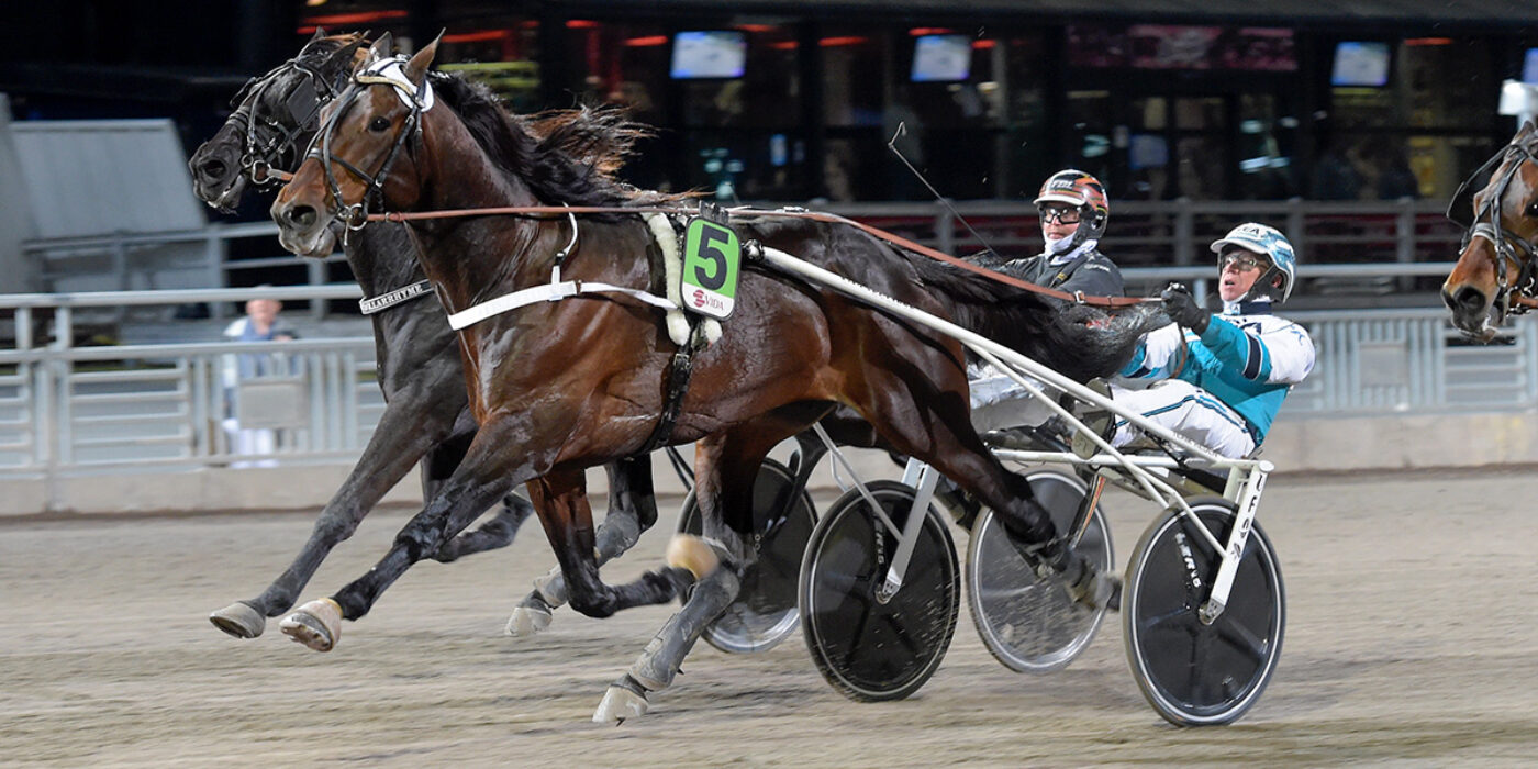 HAIL MARY KLAR FÖR ELITLOPPET 2023