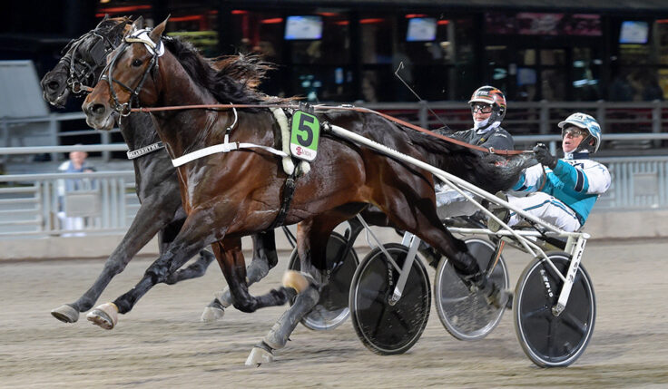 HAIL MARY KLAR FÖR ELITLOPPET 2023