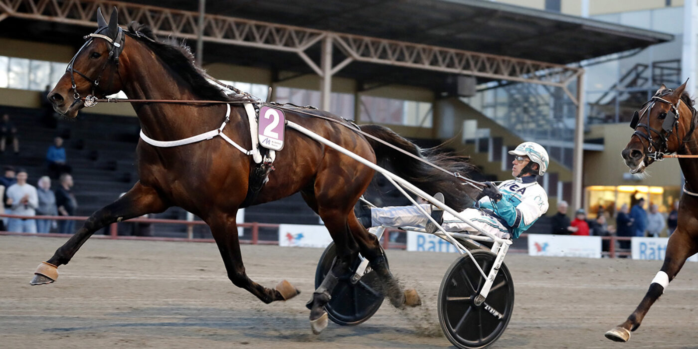 HAIL MARY KLAR FÖR ELITLOPPET 2022