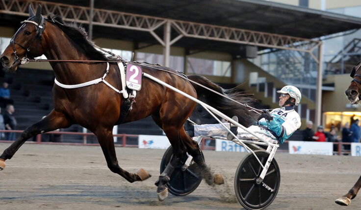 HAIL MARY KLAR FÖR ELITLOPPET 2022