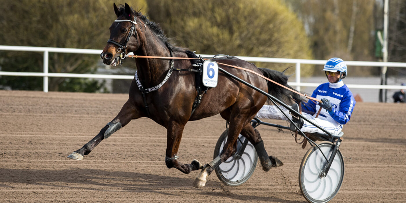 HICKOTHEPOOH KLAR FÖR ELITLOPPET 2021