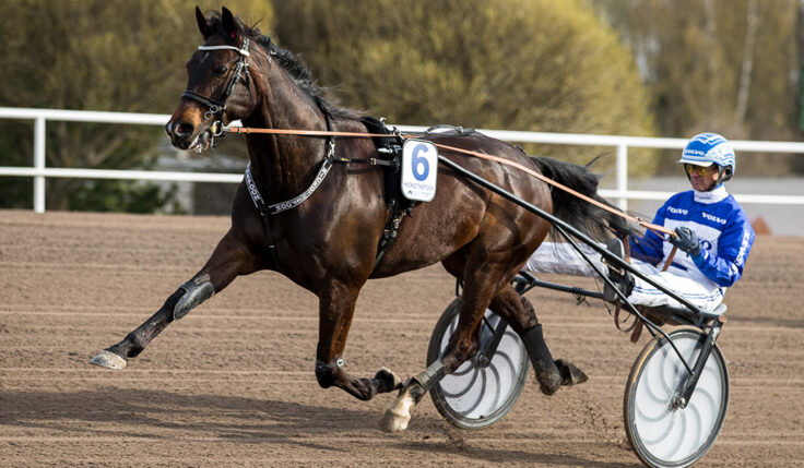 HICKOTHEPOOH KLAR FÖR ELITLOPPET 2021