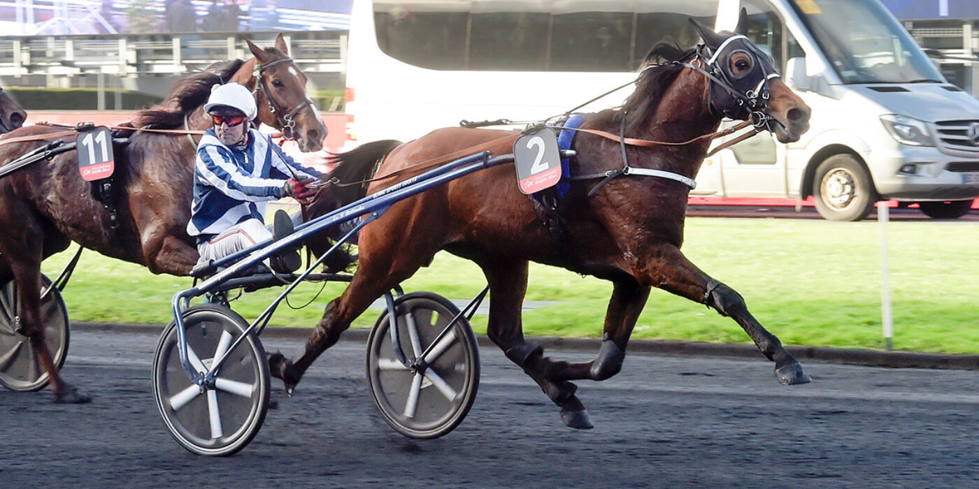 HORSY DREAM LÄMNAR ÅTERBUD TILL ELITLOPPET