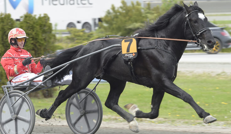 SEX NYA DELTAGARE KLARA FÖR SPEEDRACE 2020