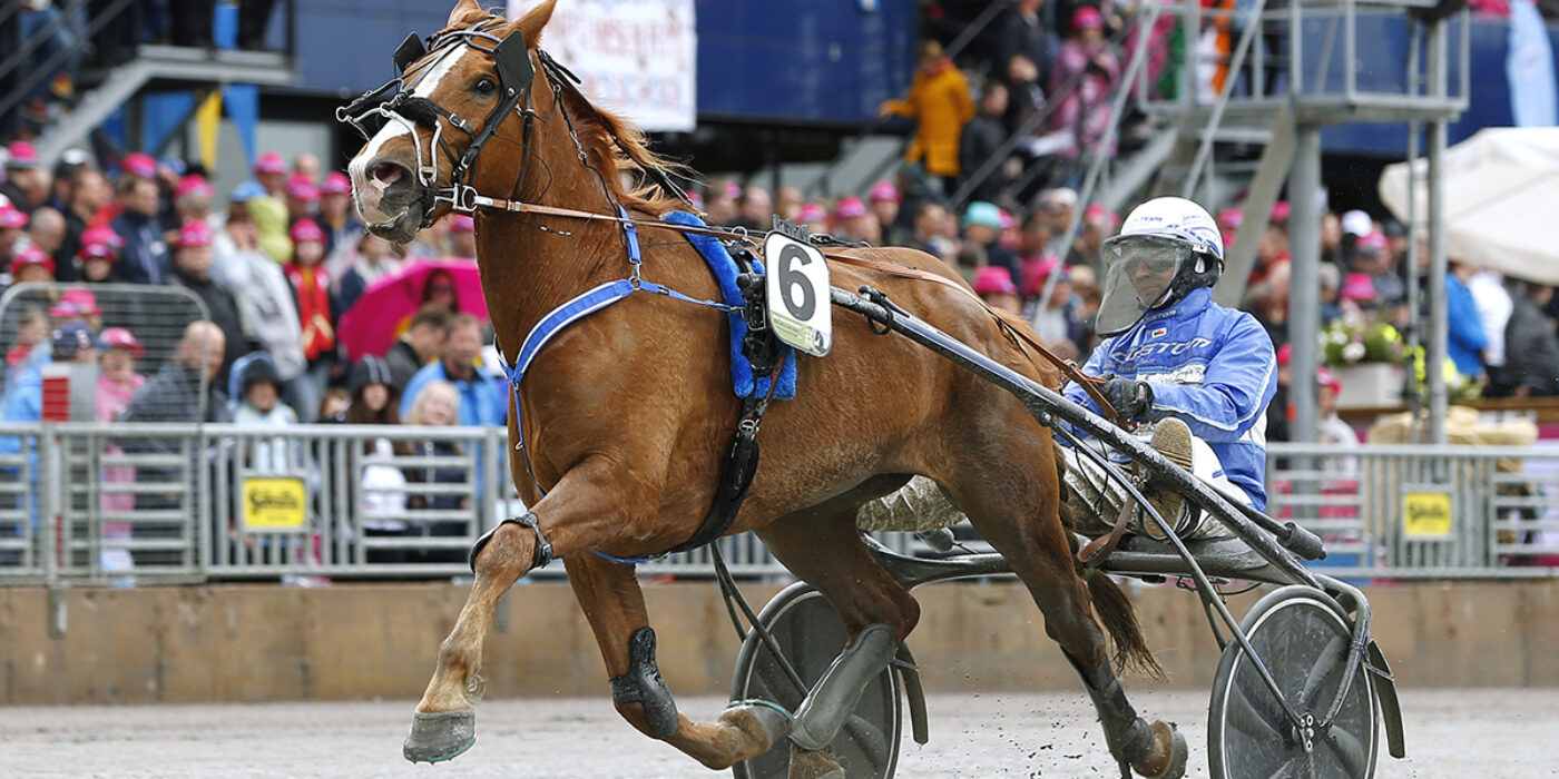 JOSVEIS ERSÄTTER VÄLÄHDYS I ELITKAMPEN