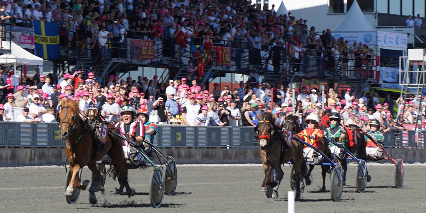 PONNYERNA INTAR ELITLOPPSHELGEN 2022