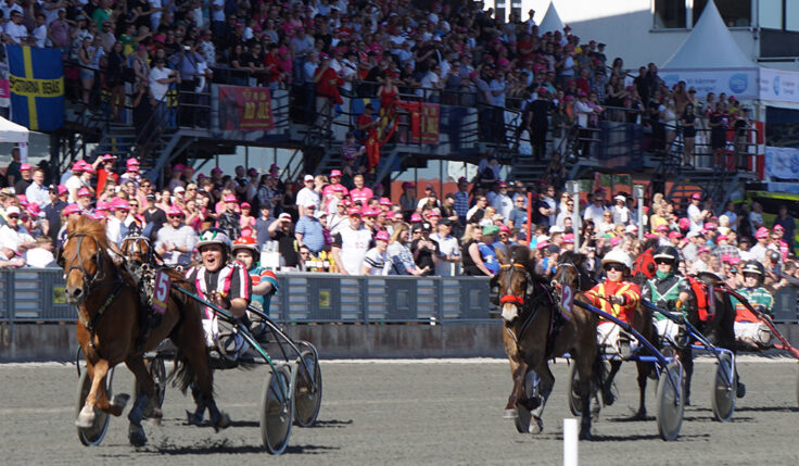 PONNYERNA INTAR ELITLOPPSHELGEN 2022