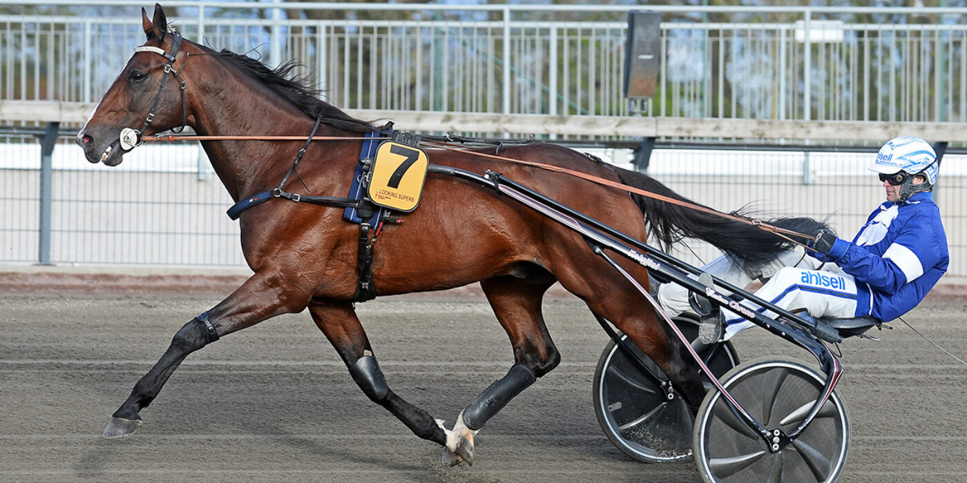 LOOKING SUPERB KLAR FÖR ELITLOPPET 2020
