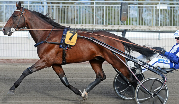 LOOKING SUPERB KLAR FÖR ELITLOPPET 2020