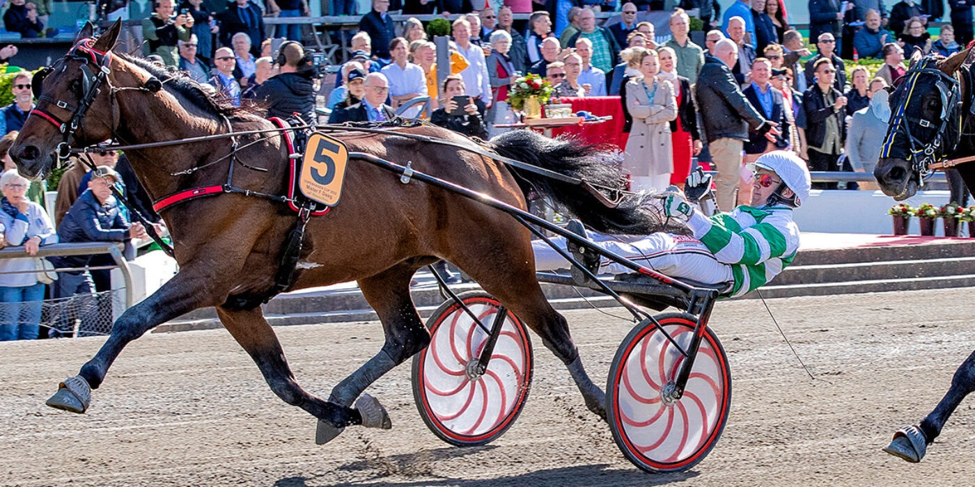 MISTER F DAAG KLAR FÖR ELITLOPPET 2022