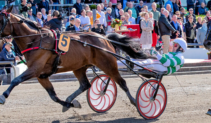 MISTER F DAAG KLAR FÖR ELITLOPPET 2022