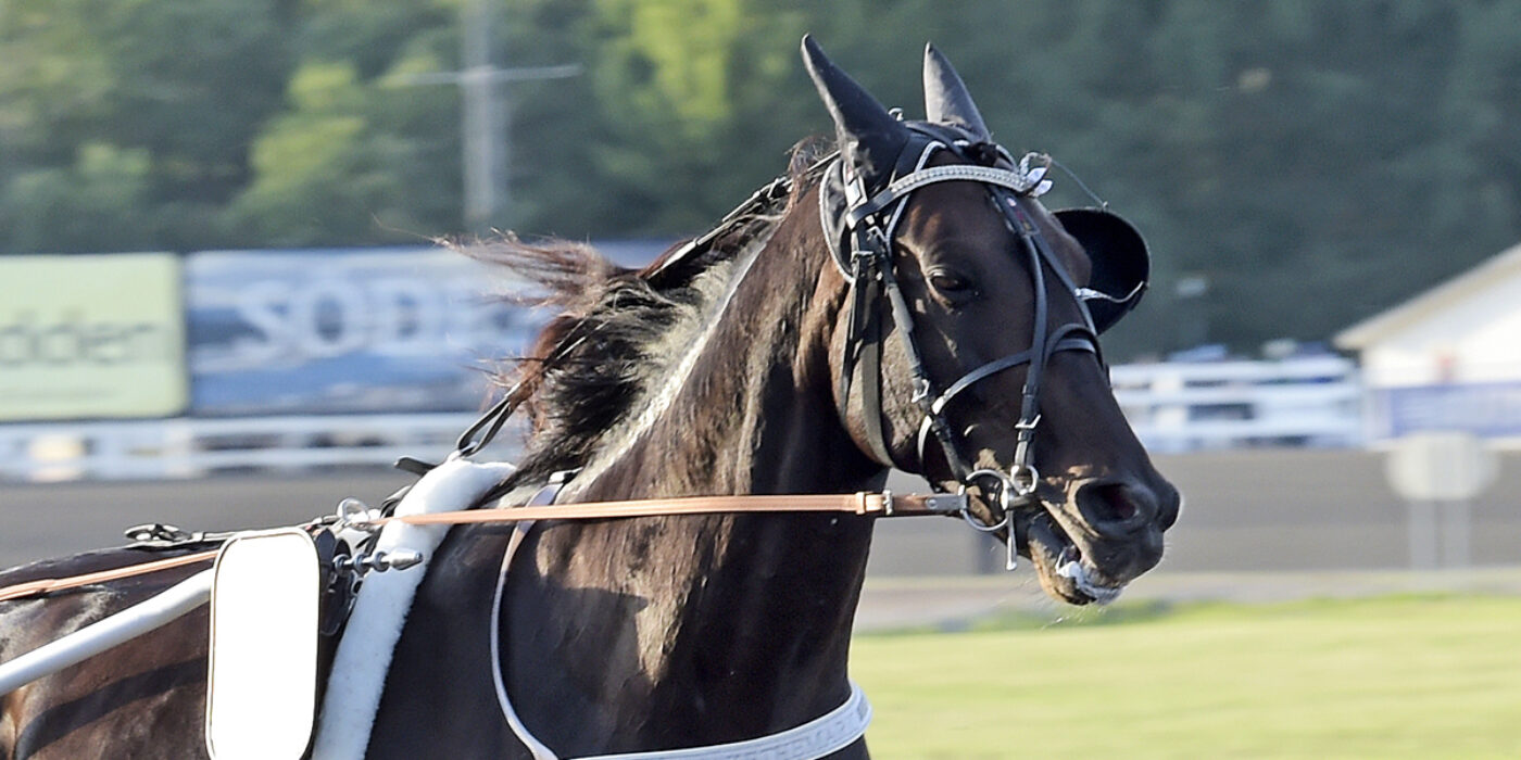 MAKETHEMARK KLAR FÖR ELITLOPPET 2020