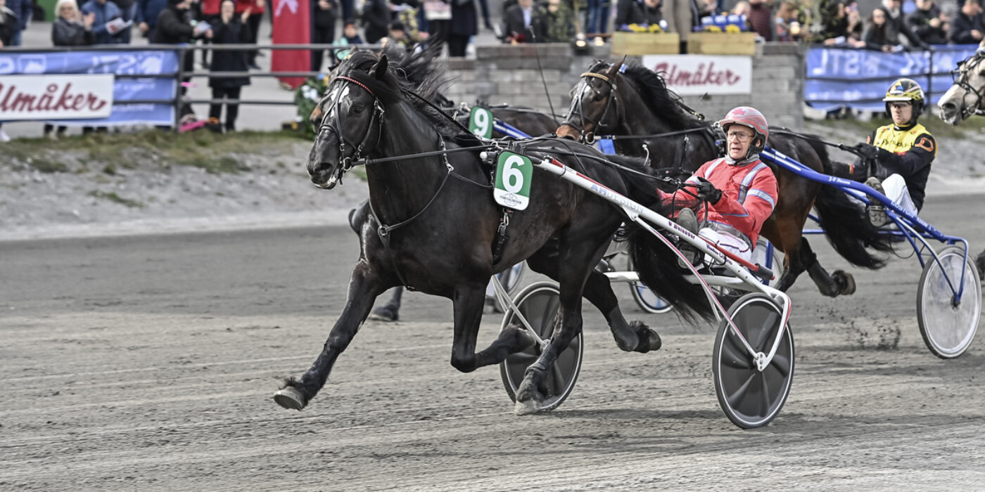 TVÅ NYA HÄSTAR KLARA FÖR ELITKAMPEN 2022