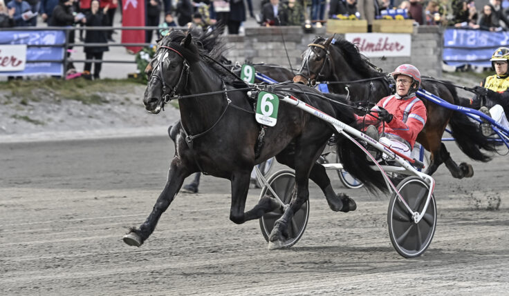 TVÅ NYA HÄSTAR KLARA FÖR ELITKAMPEN 2022