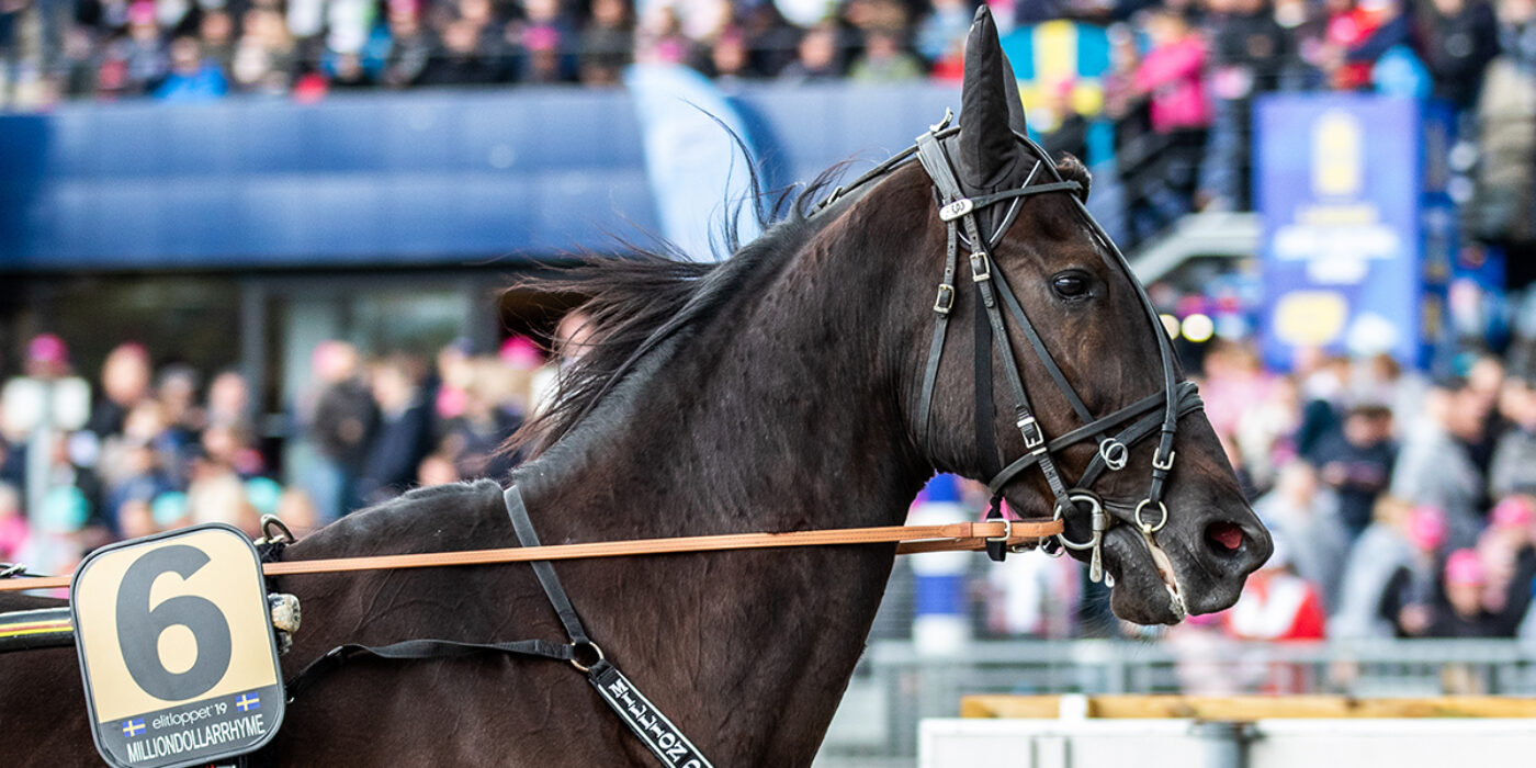 MILLIONDOLLARRHYME KLAR FÖR ELITLOPPET 2020
