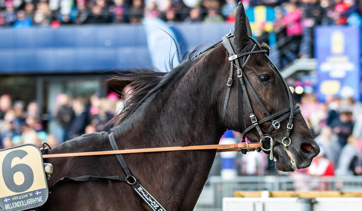 MILLIONDOLLARRHYME KLAR FÖR ELITLOPPET 2020