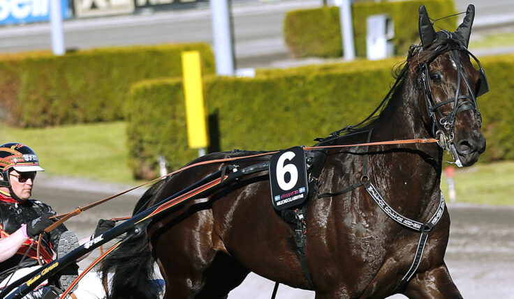 MILLIONDOLLARRHYME KLAR FÖR ELITLOPPET 2021