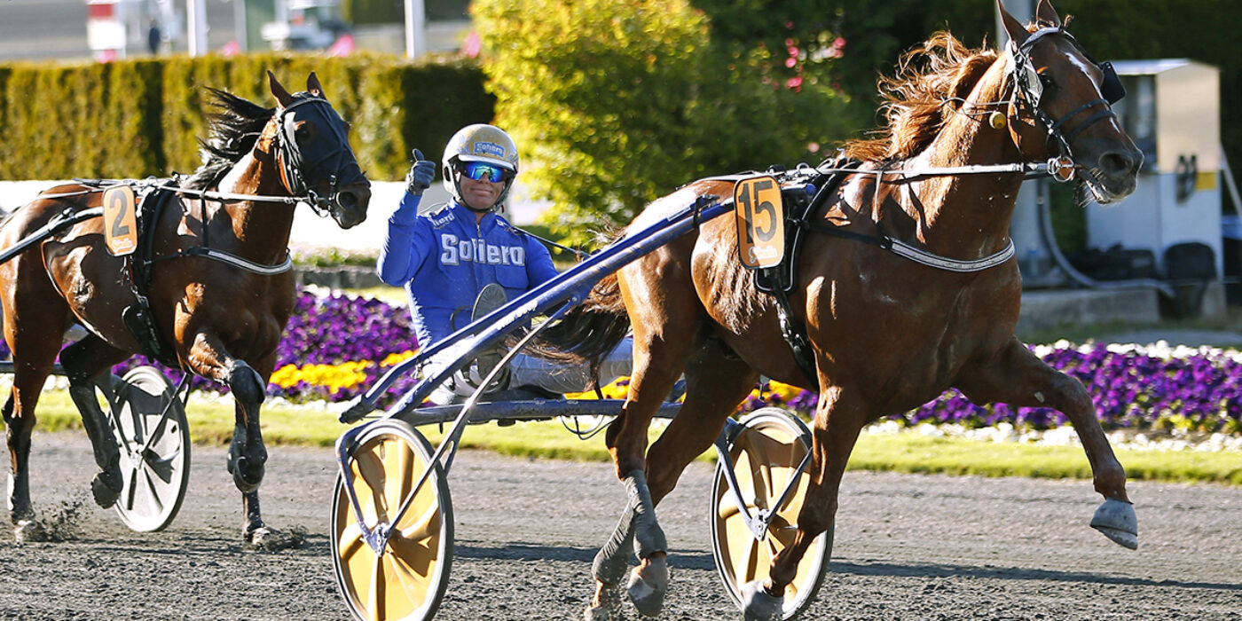 HARPER HANOVERS BLIR MILJONLOPP