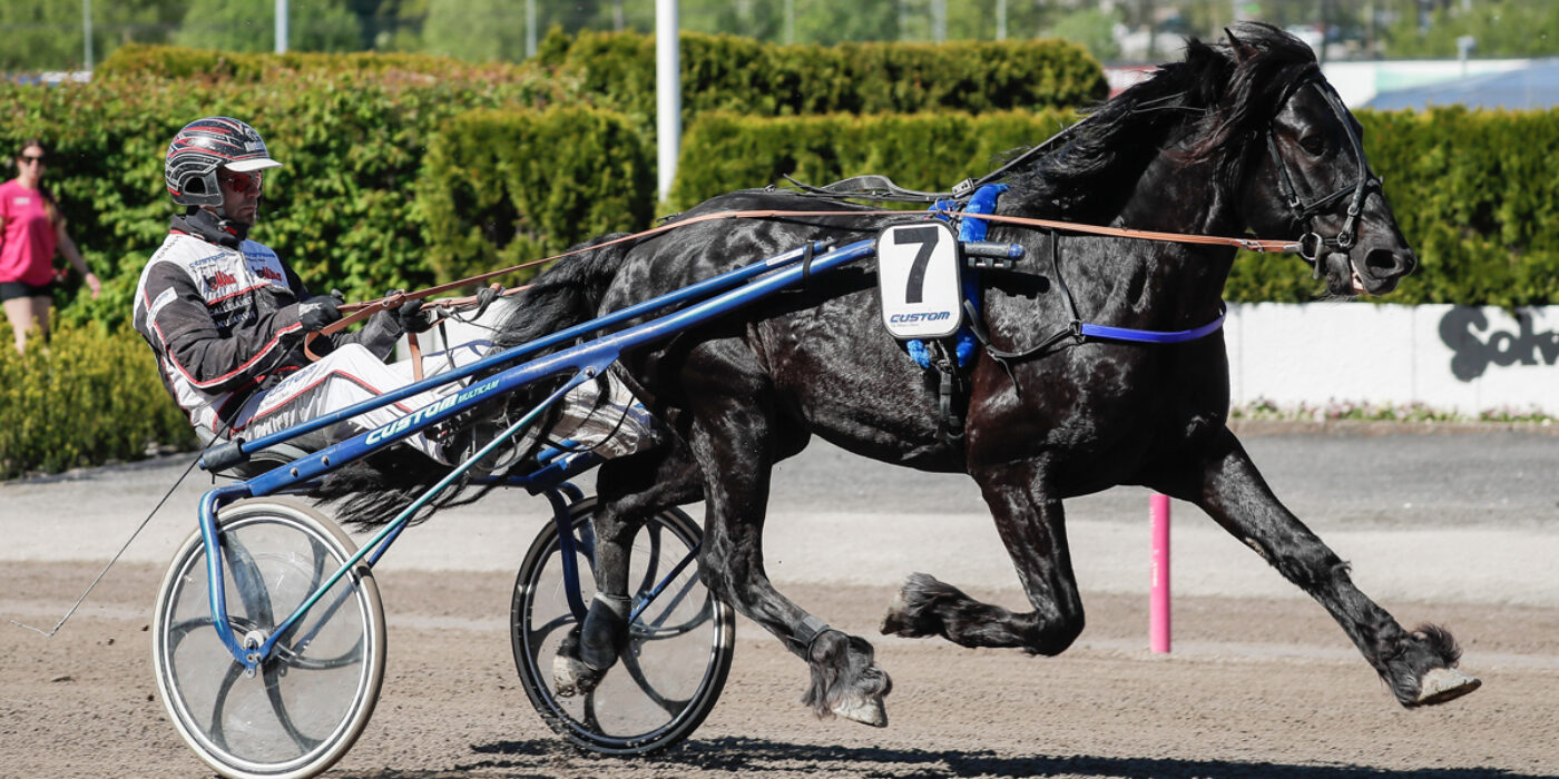 NYLAND KOMMER TILL ELITKAMPEN 2022