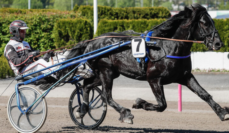 NYLAND KOMMER TILL ELITKAMPEN 2022