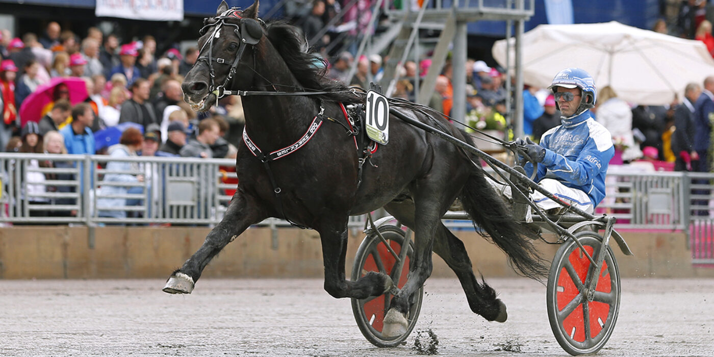 ÄNNU EN TRIO KLAR FÖR ELITKAMPEN