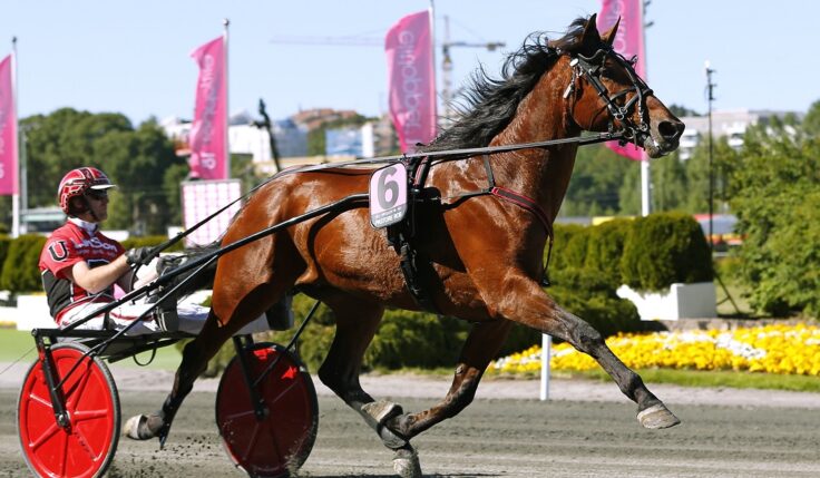 Segraren i Finlandia Ajo till Elitloppet i år igen